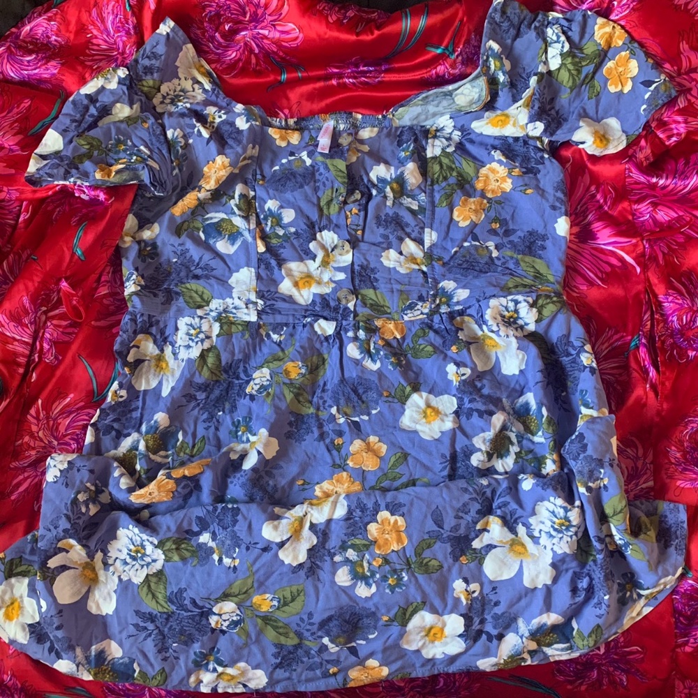 Blue floral cottagecore plus size dress